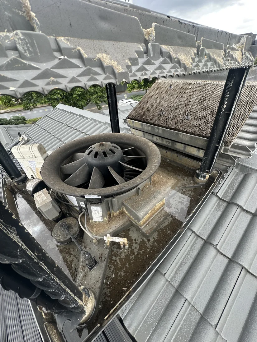 Evaporative cooler interior before servicing, showing dirt and build-up